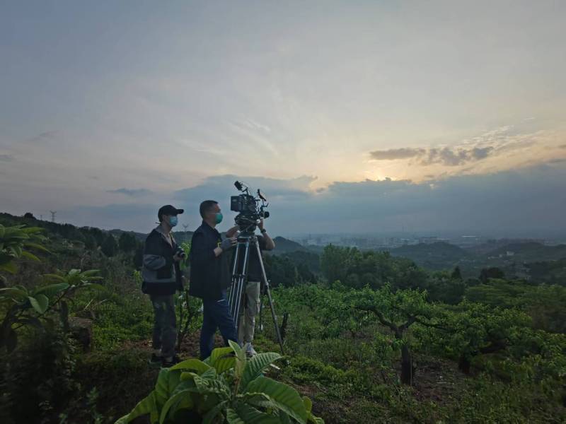 创意破圈！蒲城县电商产品宣传视频用故事化叙事引爆流量