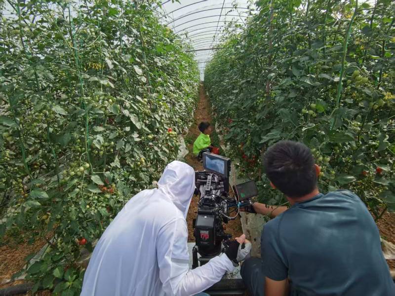 蒲城县产品宣传视频拍摄公司进阶指南，助力品牌抢占传播高地